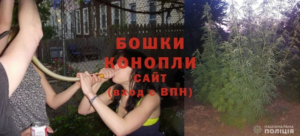 ешки Ельня