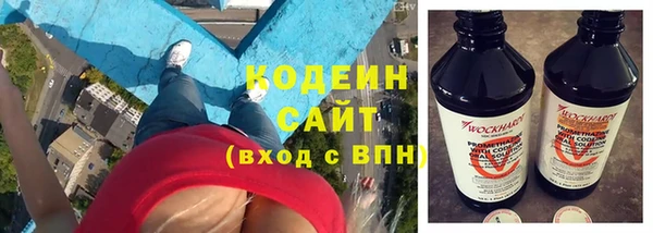 прущие грибы Елабуга